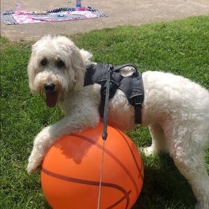 Meet your Posher, Marion